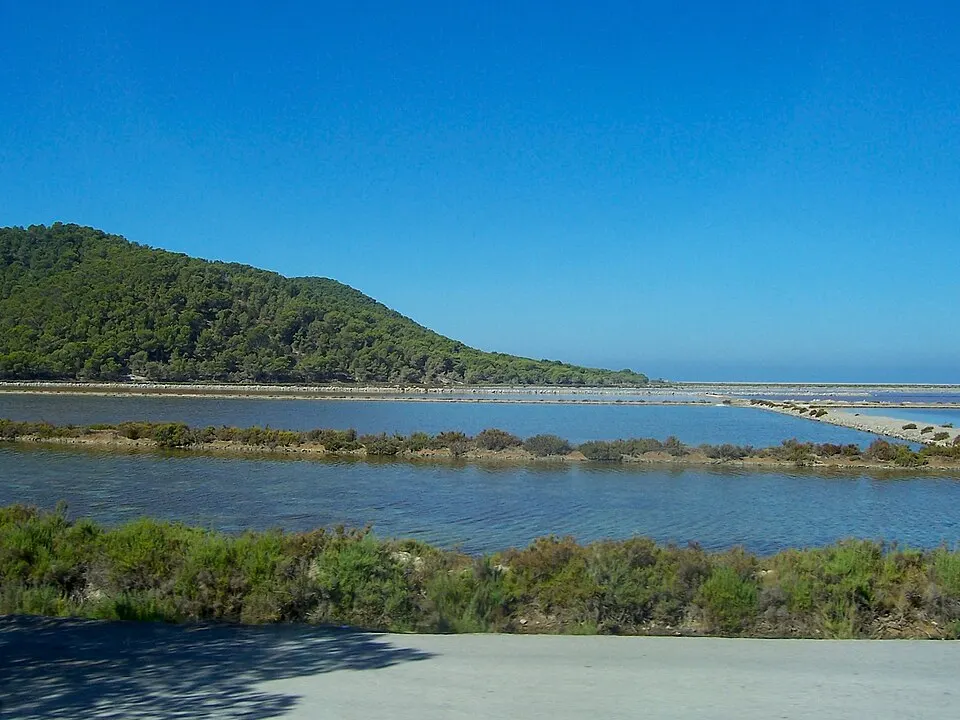 Salinas del Parque Natural de Ses Salines