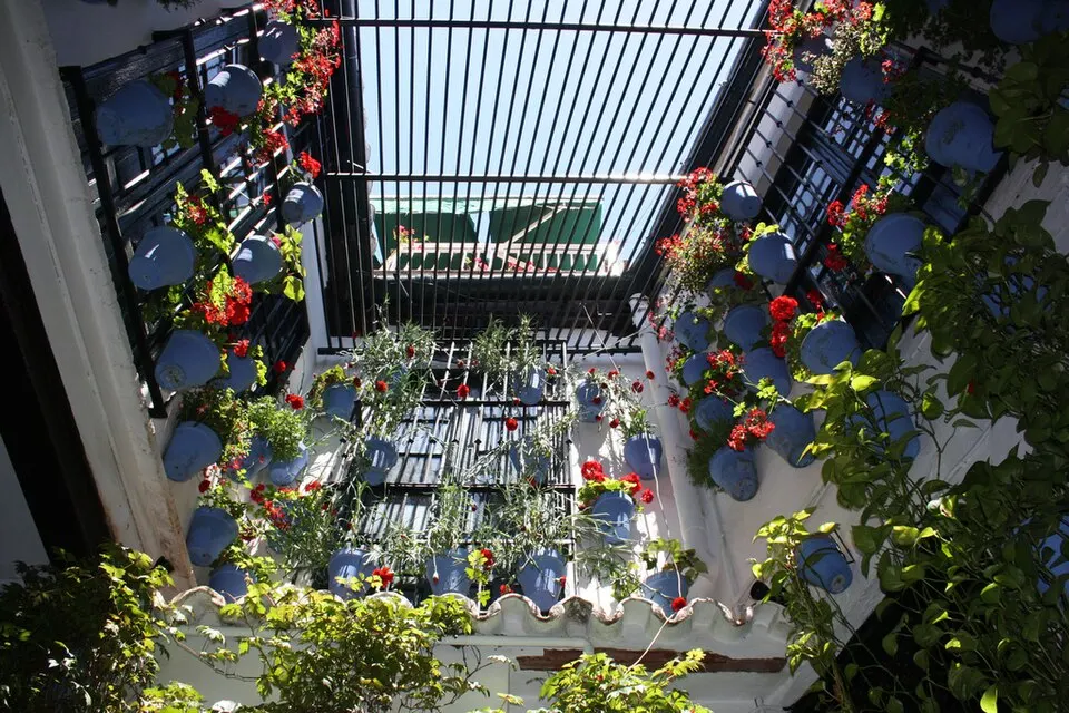 Bodega El Pimpi
