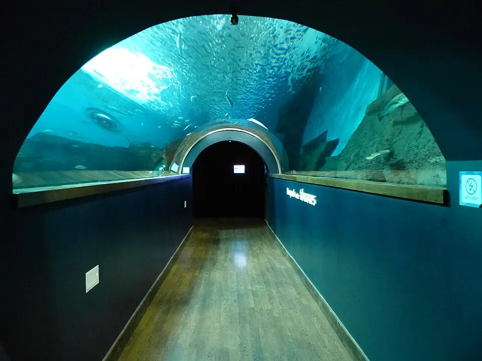 Tanque del Acuario de Sevilla con peces
