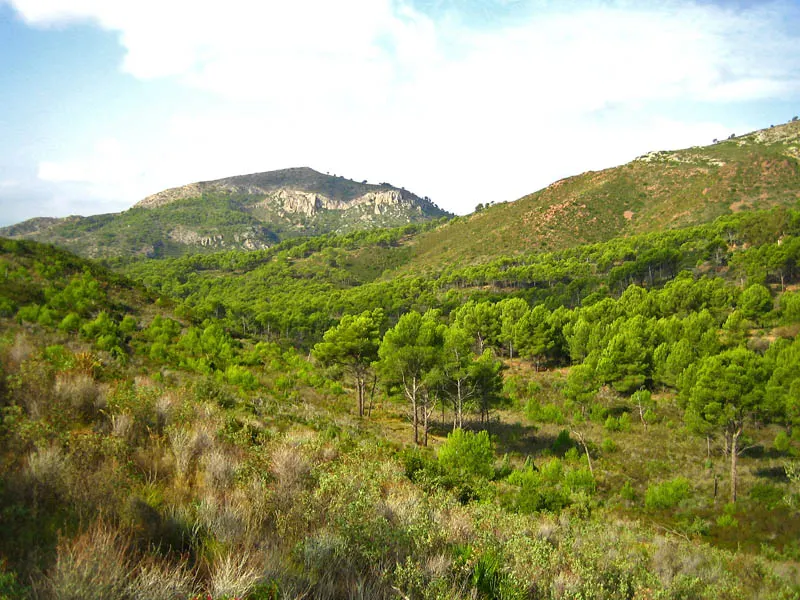 Desierto de las Palmas