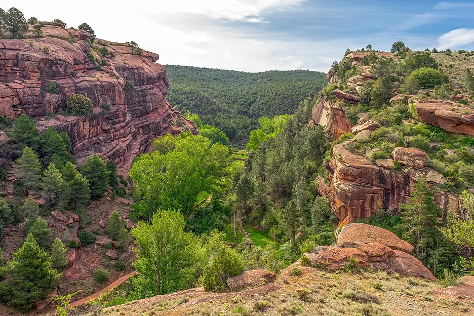 Pinares de Rodeno