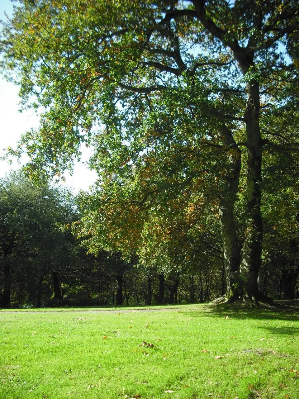 Parque de Bonaval